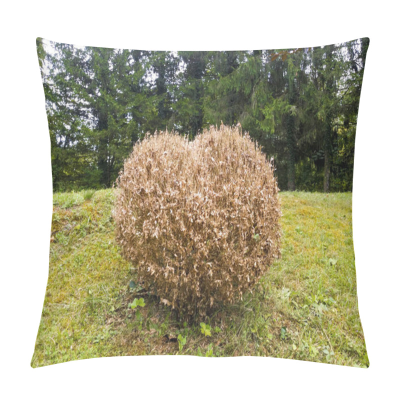 Personality  Completely Defoliated And Dried Boxtree Pillow Covers