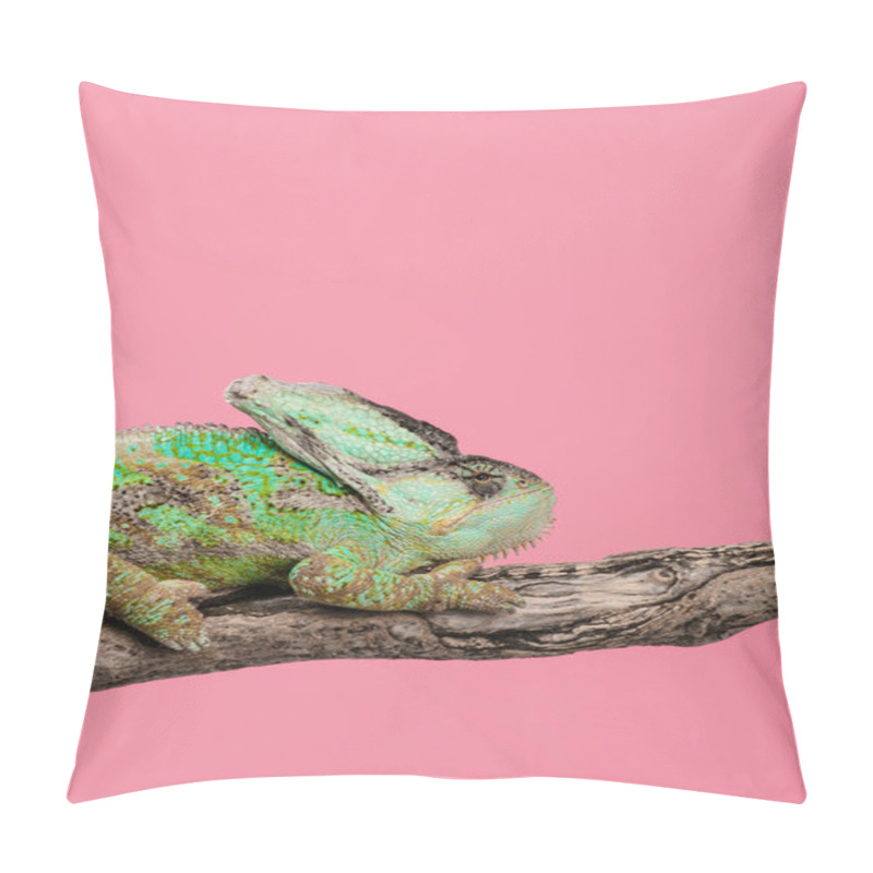 Personality  Beautiful Exotic Chameleon Sitting On Tree Branch Isolated On Pink Pillow Covers