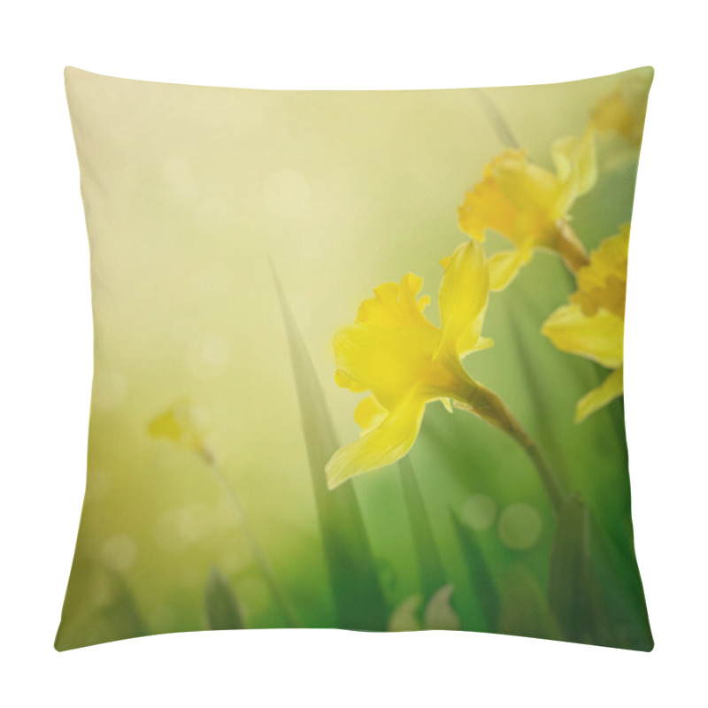 Personality  Daffodil Spring Background Pillow Covers