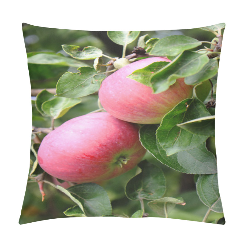 Personality  Red Apples Pillow Covers