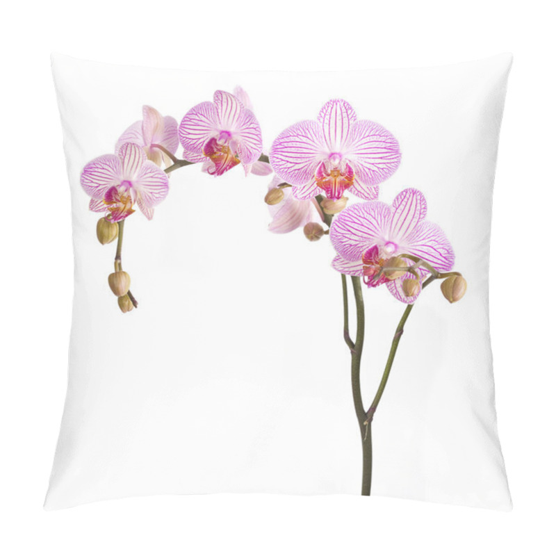 Personality  Pink Orchid Flowers Pillow Covers