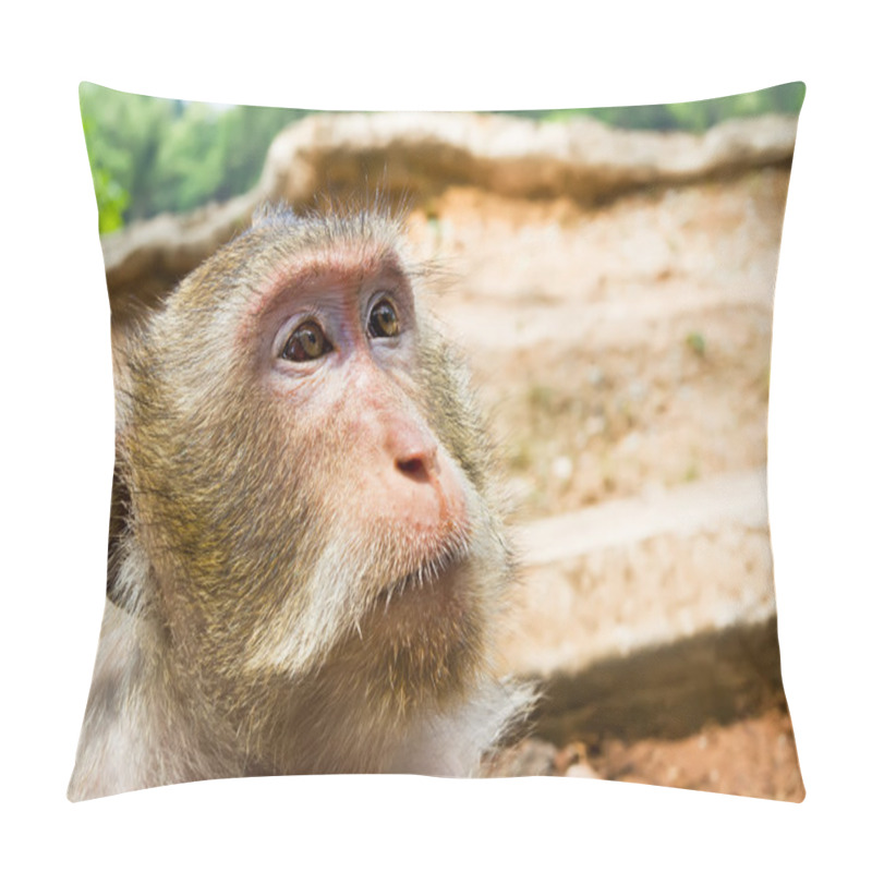 Personality  Macaque Monkey Portrait. Angkor Wat. Cambodia Pillow Covers