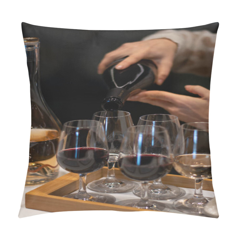 Personality  Tasting Of Variety Of Rioja Wines, Visit Of Winery Cellars With French Or American Oak Barrels With Agening Red Wine, Rioja Wine Making Region, Spain Pillow Covers