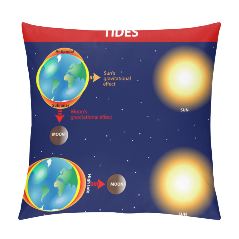 Personality  Tides. Vector Diagram. Pillow Covers