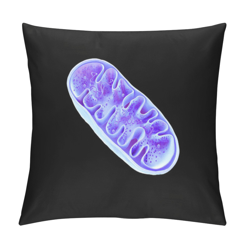 Personality  Mitochondria, Cellular Organelles, Produce Energy, Cell Energy And Cellular Respiration, DNA, 3D Rendering Pillow Covers