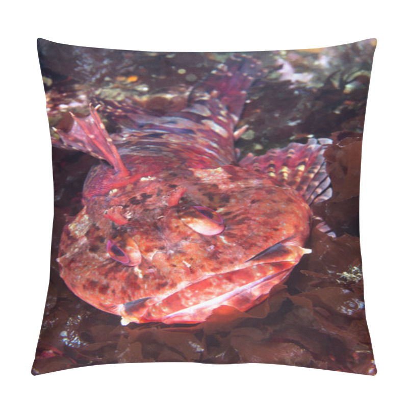 Personality  California Cabazon On Reef Pillow Covers