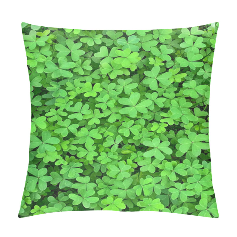 Personality  Green Clover Surface, Bermuda Buttercup, Oxalis Pes-caprae Pillow Covers