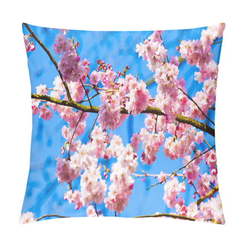 Personality  Sakura Flowers Blooming Pillow Covers