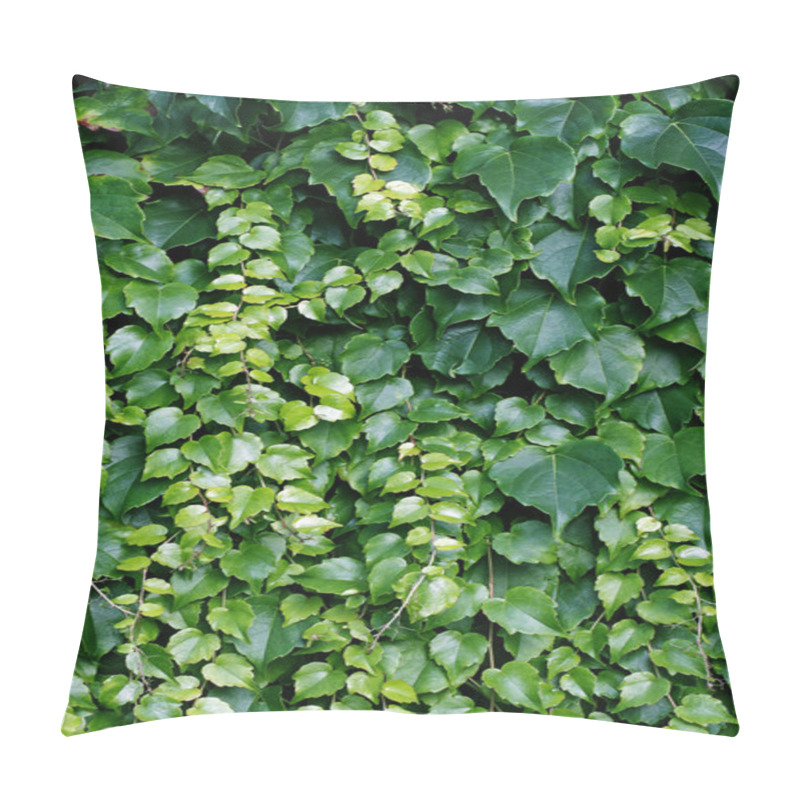 Personality  Bindweed Pillow Covers