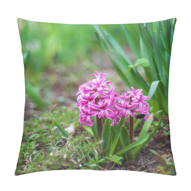 Personality  Spring Hyacinth Flowers Pillow Covers