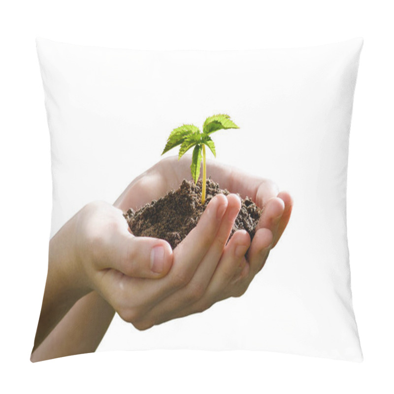 Personality  Two Hands On A White Background Hold The Ground With A Sprouted Young Sprout. Concept For The Theme Of Gardening. Pillow Covers