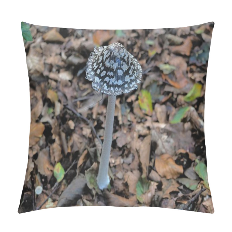 Personality  Speckled Inkcaps Are Fungi That Often Grow On Deadwood. The Location In The Darss Forest Area May Be Significant For Biodiversity And The Preservation Of This Natural Habitat. Pillow Covers