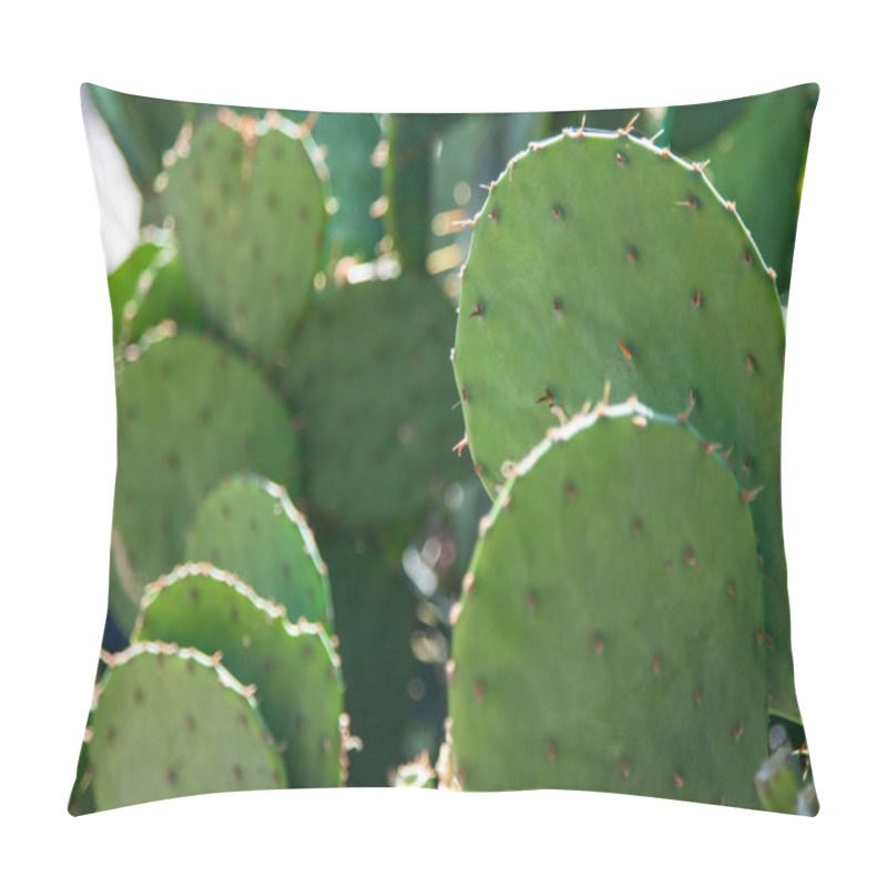 Personality  Cactus Pillow Covers