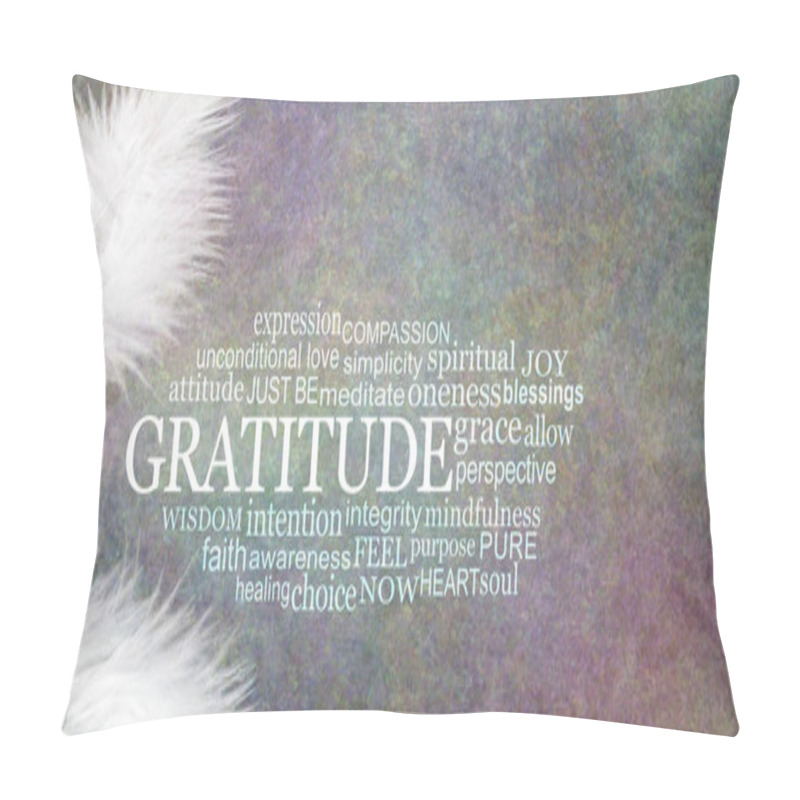 Personality  Angelic GRATITUDE Word Cloud Rustic Banner  - Two White Feathers With A GRATITUDE Word Cloud Between Against A Dark Stone Effect Multicoloured Rustic Grunge Background Pillow Covers