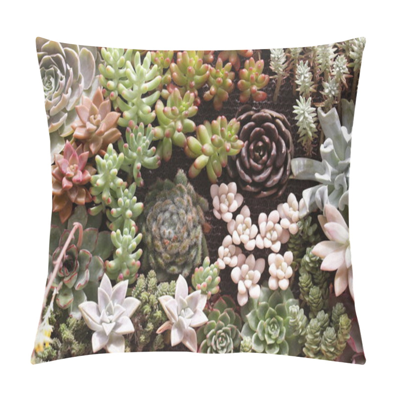 Personality  Gardening Cactus And Succulents Pillow Covers