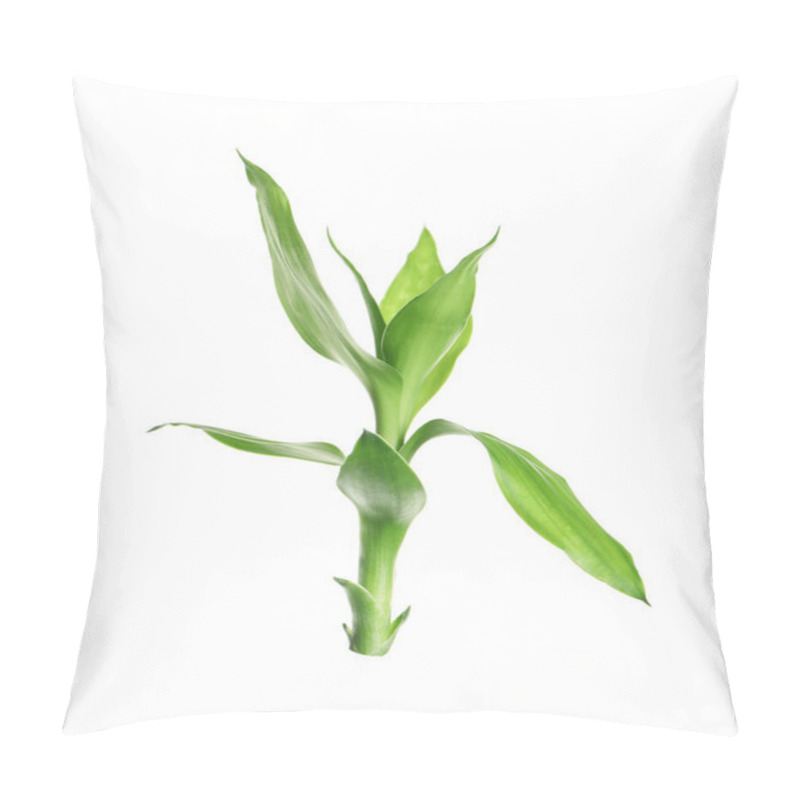 Personality  Beautiful Green Bamboo Leaves On White Background Pillow Covers