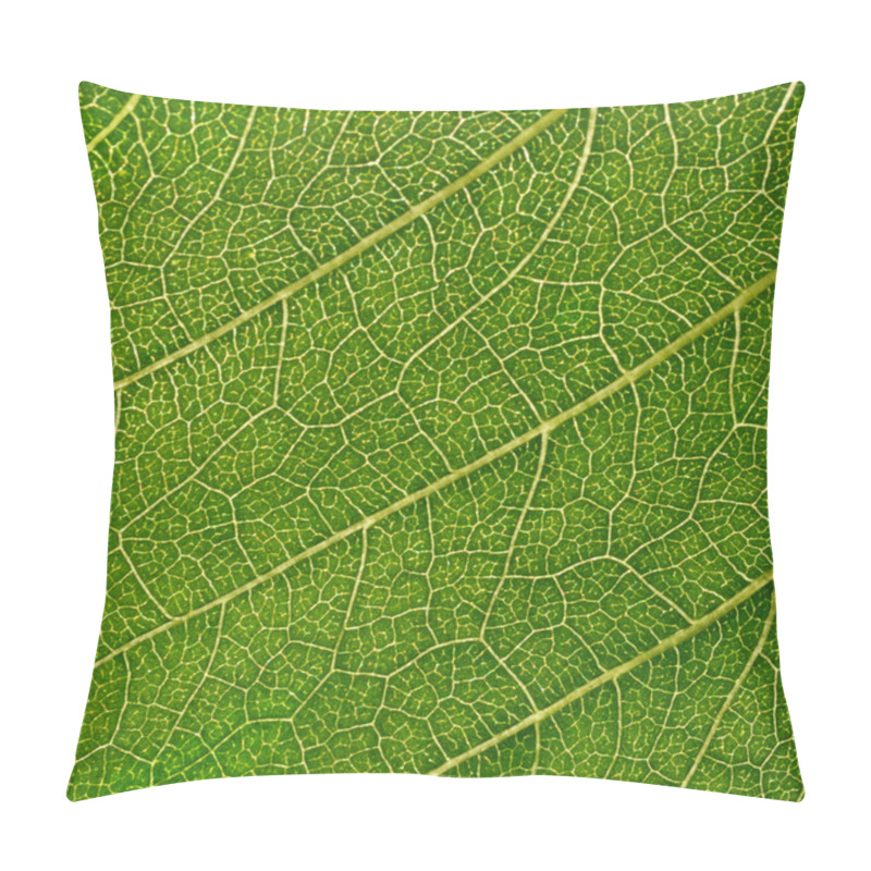 Personality  Sunflower Leaf Pillow Covers
