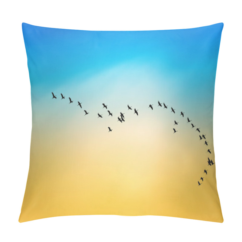 Personality  Silhouette Of Flying Birds Migratory Passage Shadoof In The Sky Pillow Covers