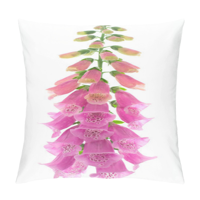 Personality  Foxglove 01 Pillow Covers