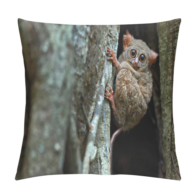 Personality  Spectral Tarsier, Tarsius Spectrum, Portrait Of Rare Nocturnal Animal, In The Nature Habitat, Large Ficus Tree, Tangkoko National Park, Sulawesi, Indonesia, Asia. Wildlife Scene From Nature. Pillow Covers