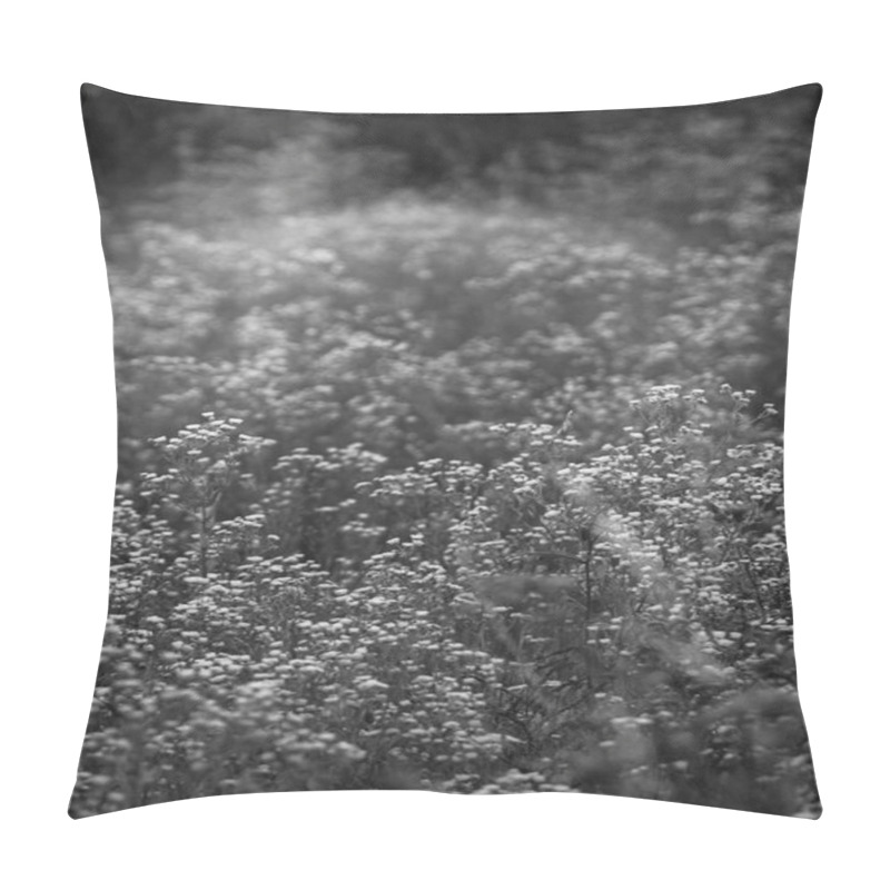 Personality  A Black-and-white Image Of A Field Of Daisies, Capturing The Timeless Beauty Of These Delicate Flowers In A Peaceful And Serene Natural Setting Pillow Covers