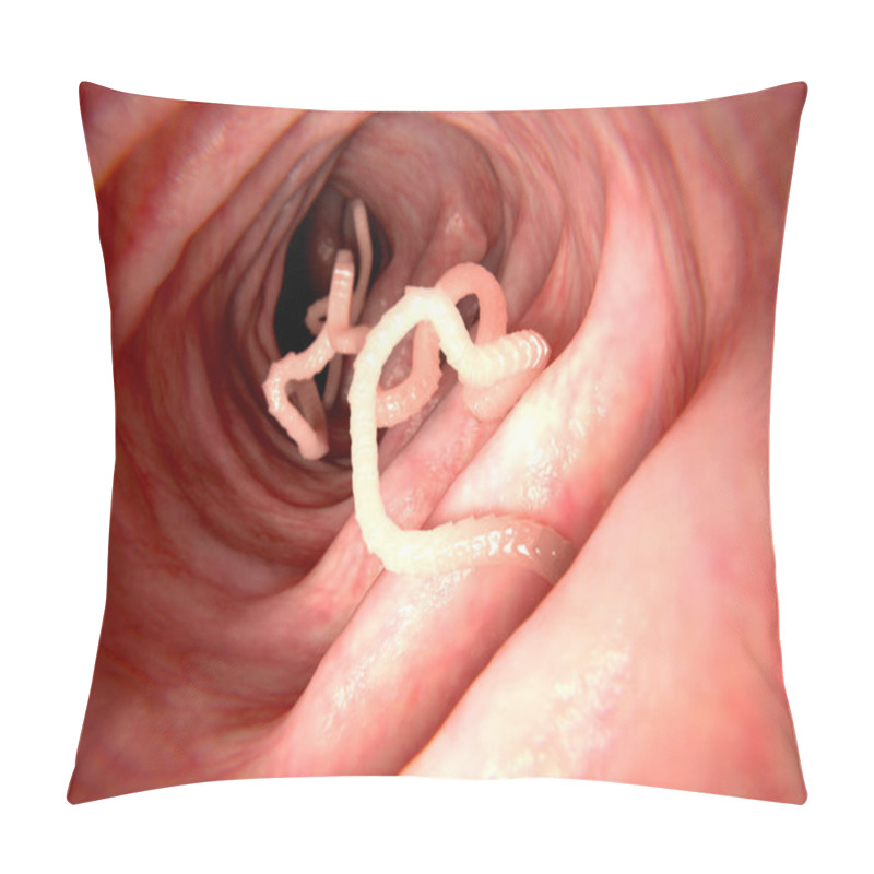 Personality  Tapeworm In Human Intestine. 3D Rendering. Tapeworms Are A Species Of Parasitic Flatworms. They Live In The Digestive Tracts Of Vertebrates. Illustration Pillow Covers