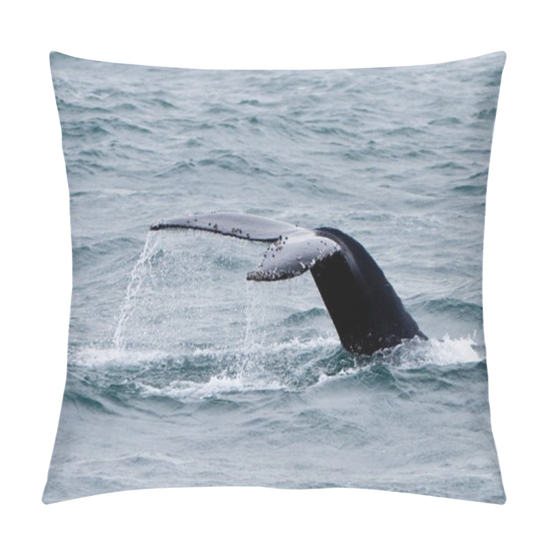 Personality  Whale Tail Pillow Covers