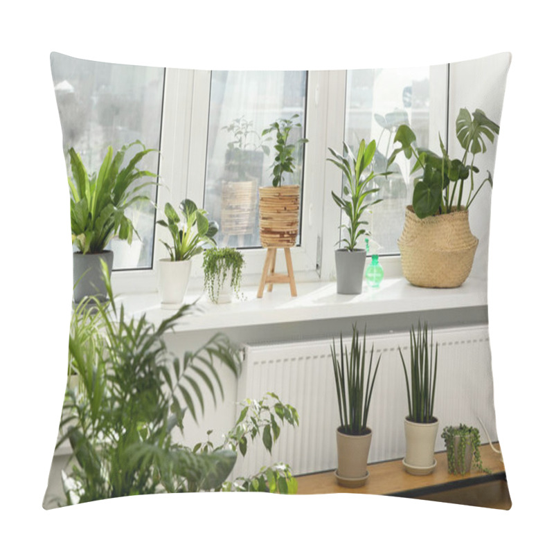 Personality  Many Beautiful Potted Houseplants Growing Near Window Indoors Pillow Covers