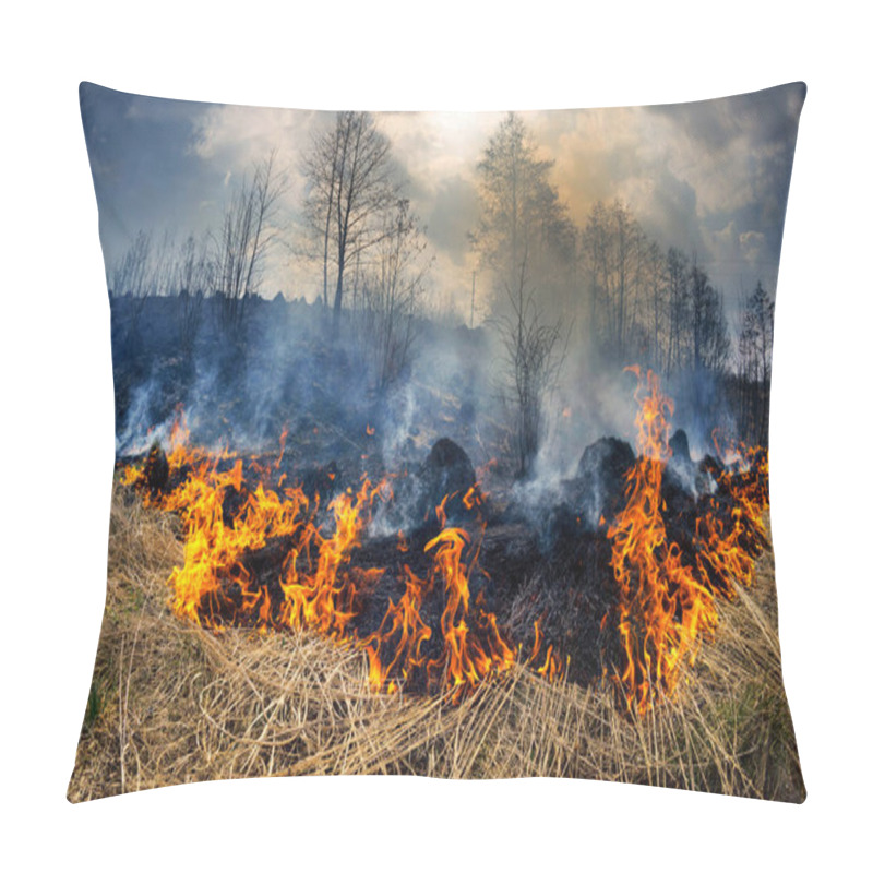 Personality  A Crime Against Ecological Balance Is Setting Fire To Grass In Spring. Poisonous Dangerous Smoke, Death Of Animals, Plants, Birds And Insects - This Is A Low Level Of Culture And Consciousness Pillow Covers