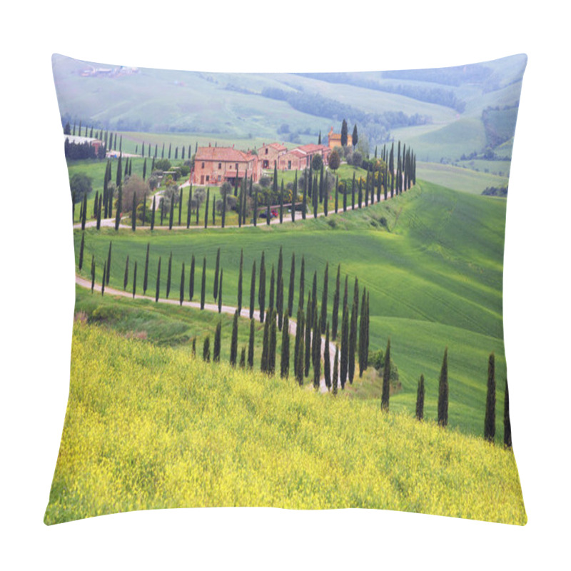 Personality  Summer Landscape In Tuscany, Italy, Europe Pillow Covers