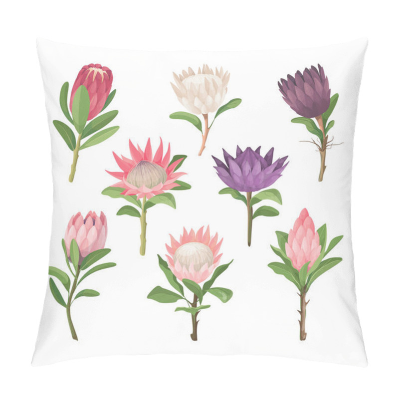 Personality  Protea Flowers. Tropical Vector Flowers Clip Art.  Pillow Covers