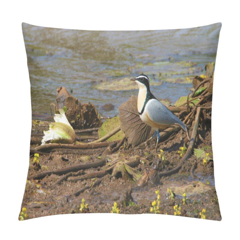 Personality  Egyptian Plover On River Bank Pillow Covers