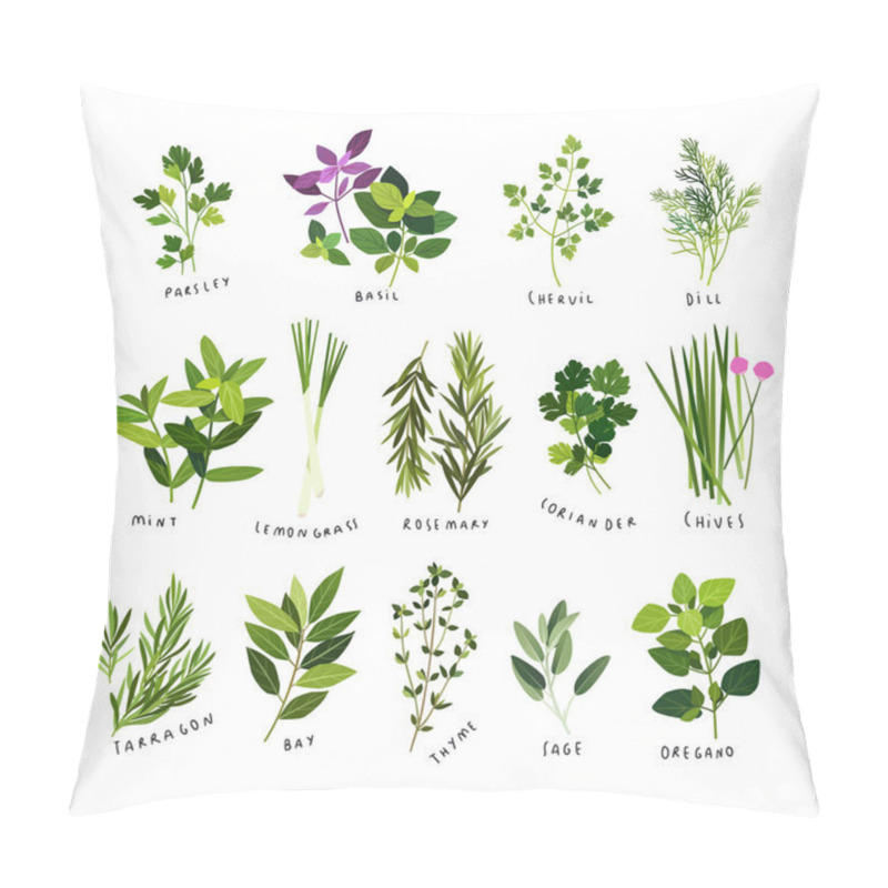 Personality  Clip Art Illustrations Of Herbs And Spices Such As Parsley, Basil, Chervil, Dill, Mint, Lemongrass, Rosemary, Coriander, Chives, Tarragon, Bay Leaves, Thyme, Sage And Oregano Pillow Covers