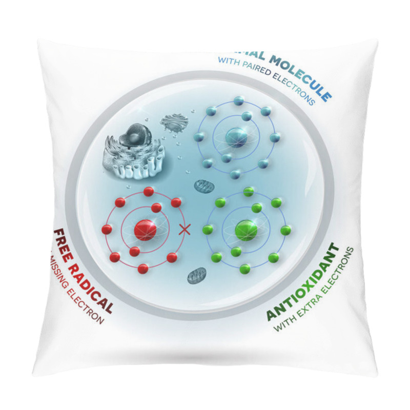 Personality  Human Cell And Free Radical, Andtioxidant And Normal Molecules Pillow Covers