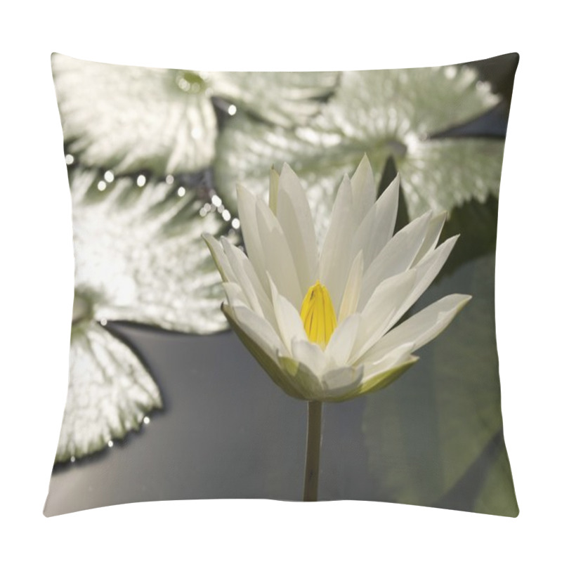 Personality  Water Lily Pillow Covers