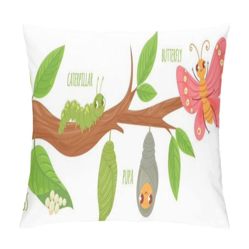 Personality  Cartoon Butterfly Life Cycle. Caterpillar Transformation, Butterflies Eggs, Caterpillars And Pupa. Insects Growing Vector Illustration. Insect Development Stages. Cute Wildlife On Tree Branch Pillow Covers