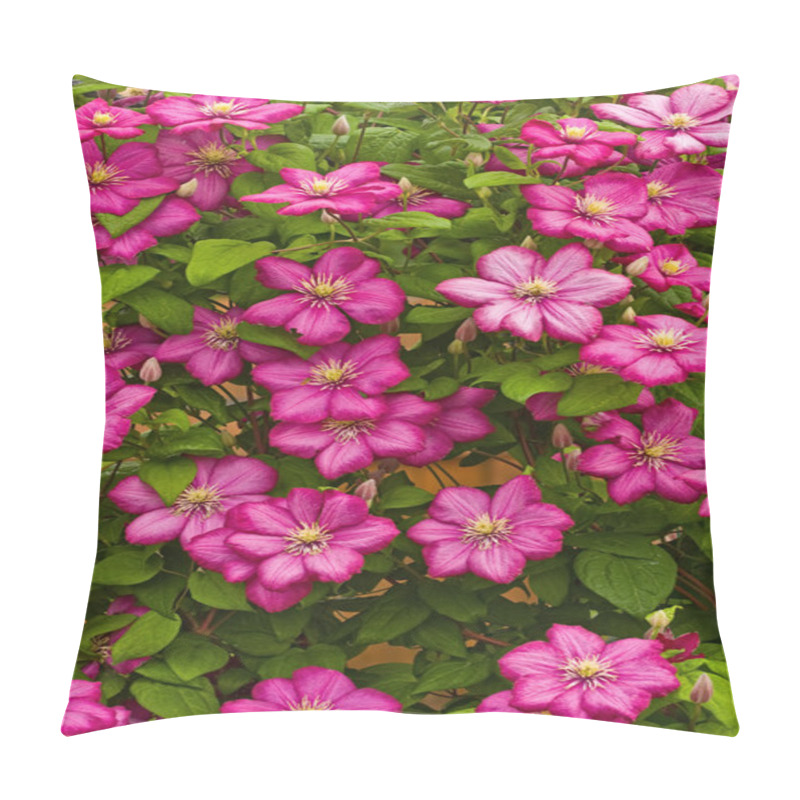 Personality  Texture Of Clematis Flowers Pillow Covers