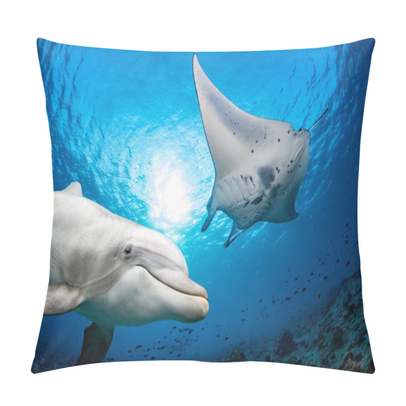 Personality  Dolphin Underwater Meets A Manta Pillow Covers