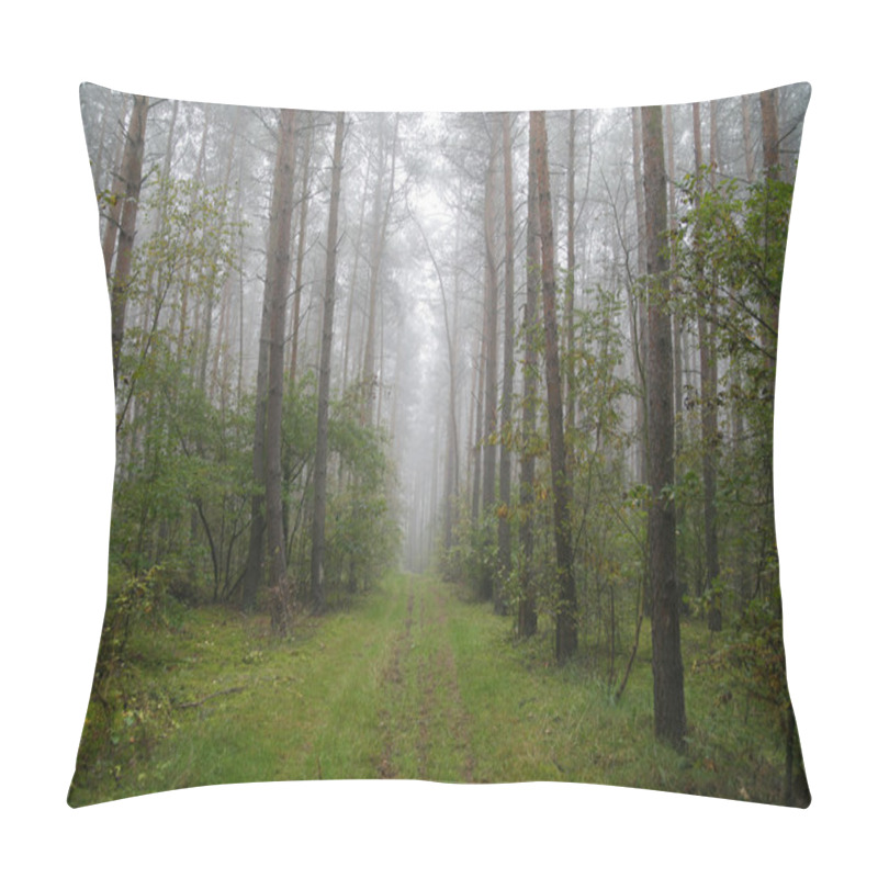 Personality  Foggy Forest In Poland Pillow Covers