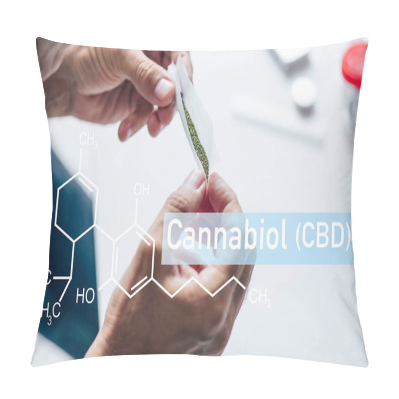 Personality  Cropped View Of Man Holding Blunt Of Medical Cannabis With Cbd Molecule Illustration Pillow Covers