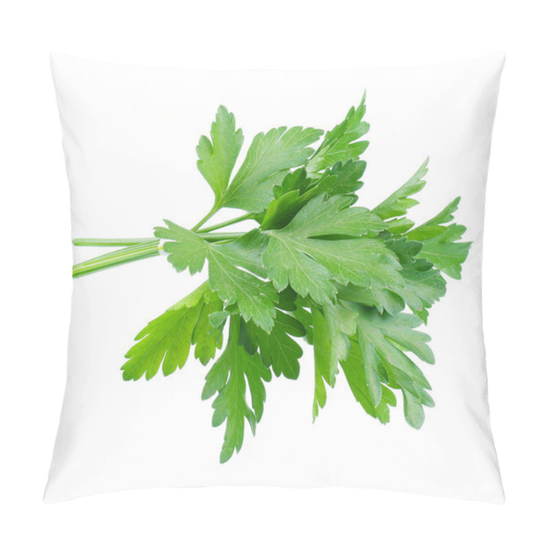 Personality  Fresh Parsley Pillow Covers