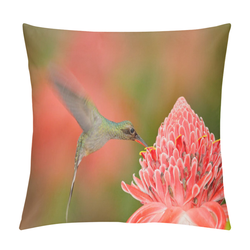 Personality  Green Hermit, Phaethornis Guy, Rare Hummingbird From Trinidad. Action Feeding Scene In Tropical Forest, Animal In Nature Jungle Habitat. Shiny Bird Flying Next To Beautiful Pink Red Flower In Jungle.  Pillow Covers