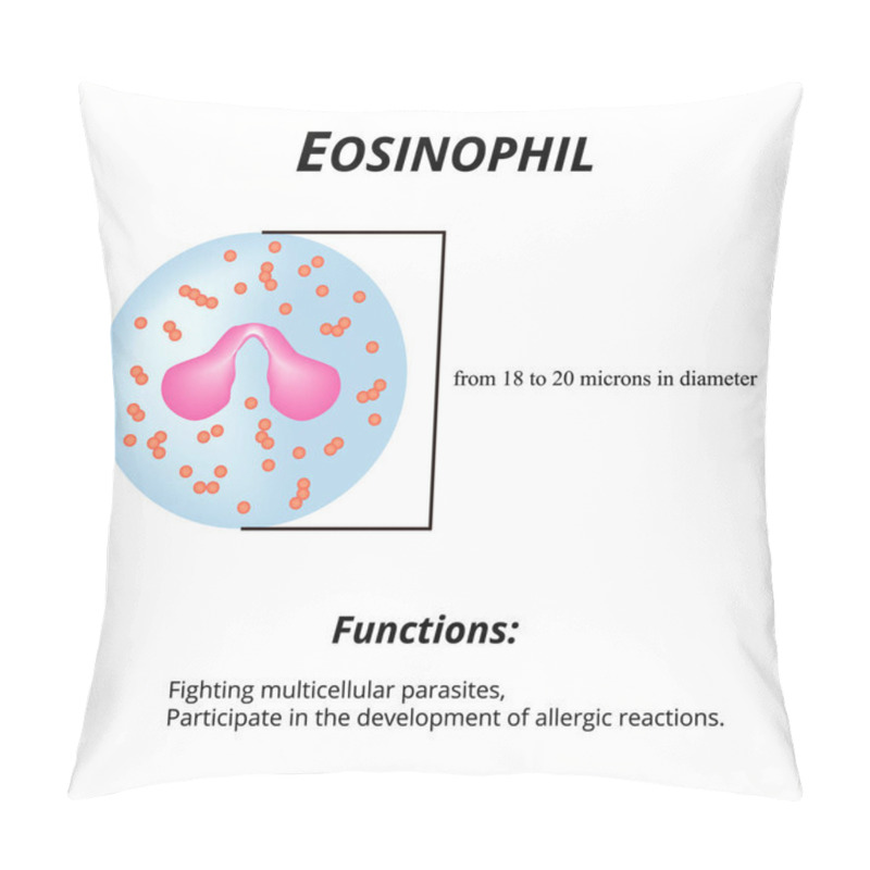 Personality  Eosinophils Are A Blood Cell. Eosinophil Functions. Vector Illustration On Isolated Background Pillow Covers