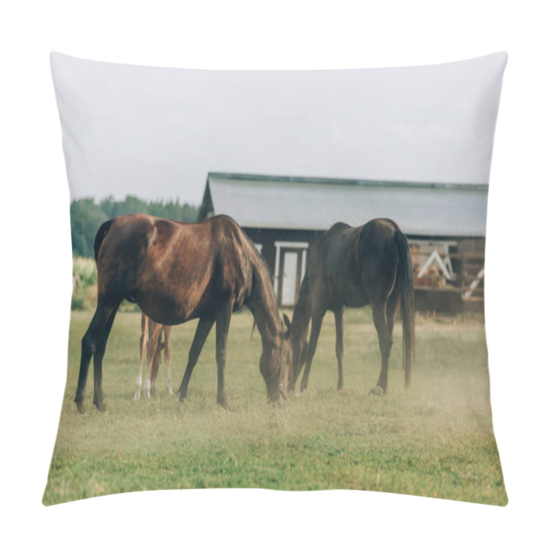 Personality  Brown Horses Eating Green Grass While Pasturing On Field Near Barn Pillow Covers