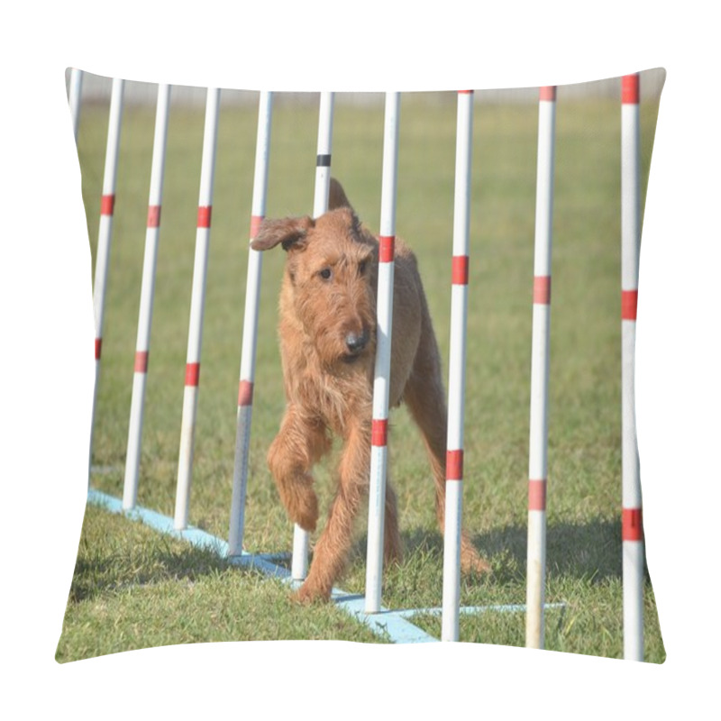 Personality  Irish Terrier At Dog Agility Trial Pillow Covers