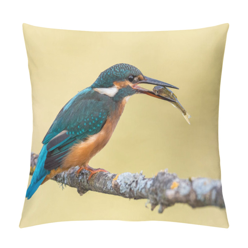 Personality  Kingfisher Bird (Alcedo Atthis) Eating A Fish Pillow Covers