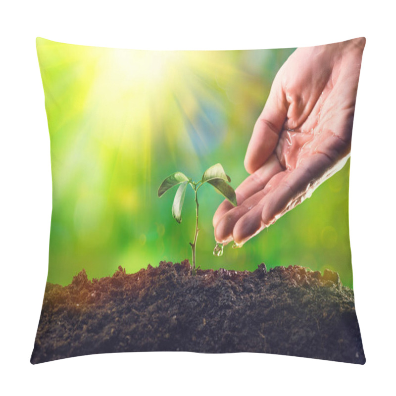 Personality  Male Hand Watering Young Plant In Morning Light Pillow Covers