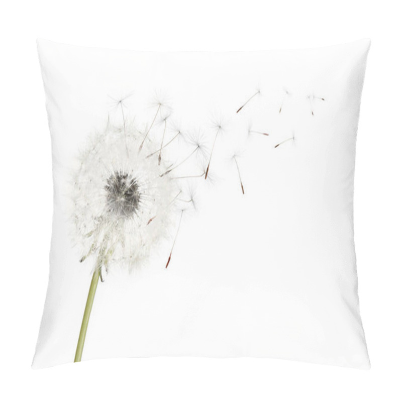 Personality  Beautiful Puffy Dandelion Blowball And Flying Seeds On White Background Pillow Covers