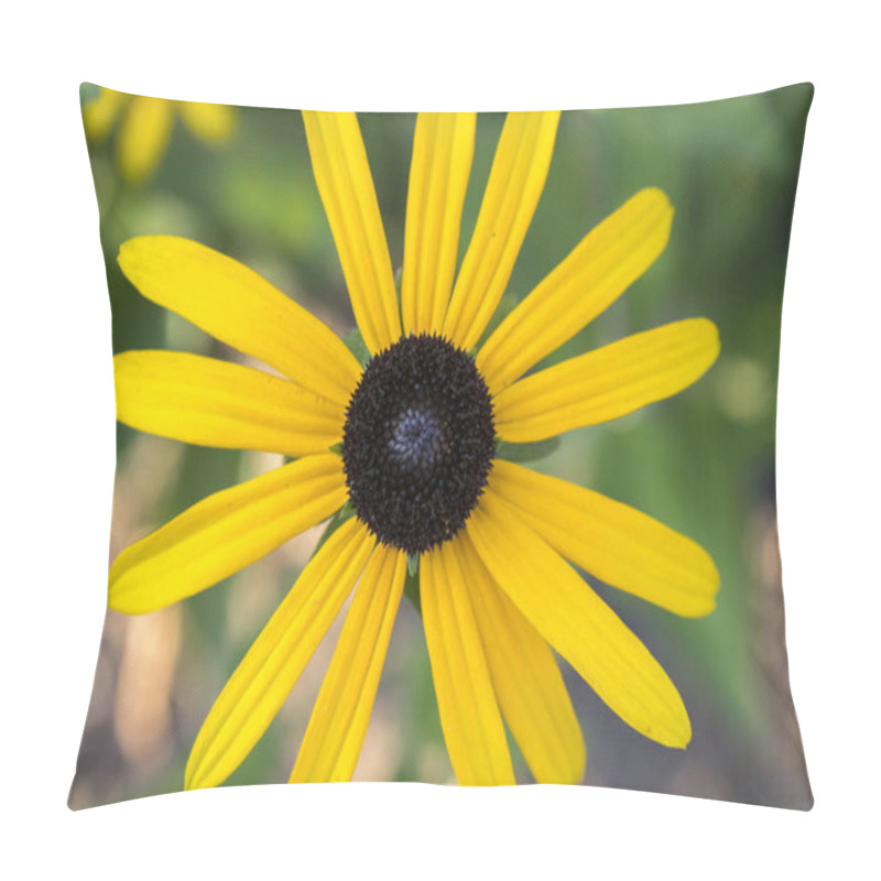 Personality  Rudbeckia Hirta Yellow Flower With Black Brown Centre In Bloom, Black Eyed Susan In The Garden Pillow Covers