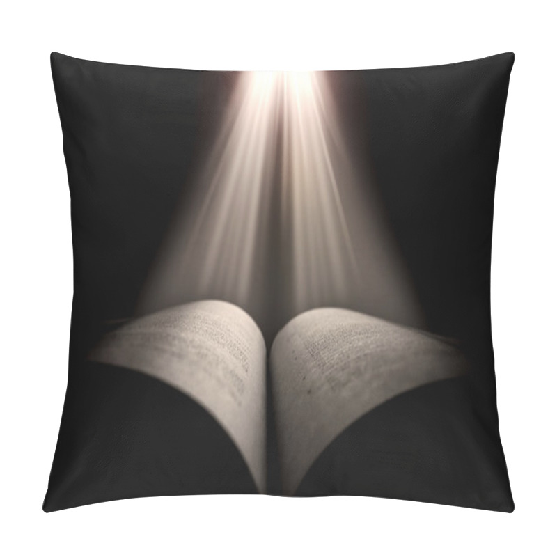 Personality  Holy Book Pillow Covers